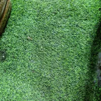نیازمند نظافتچی هستم فقط خانم