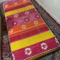 دوتا تشک در حد نو