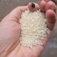 برنج هاشمی و نیم دانه هاشمی|خوردنی و آشامیدنی|لاهیجان, مهرگان|دیوار