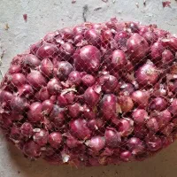 فروش پیاز قرمز|خوردنی و آشامیدنی|دشتابی, |دیوار