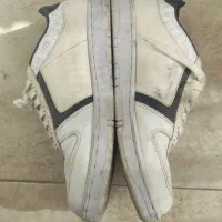 کتونی SERGIO TACCHINI|کیف، کفش، کمربند|گرمدره, |دیوار