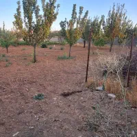 باغ ۱۵۰۰ متری شهرستان خدابنده روستای گوگجه ییلاق