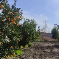 330-متر-بافت-مسکونی-300-متری-جاده-اصلی-بامدارک