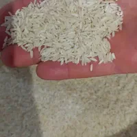 برنج‌هاشمی