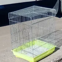 قناری|پرنده|قم, شهرک فاطمیه|دیوار