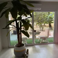 شیخ بهایی ۱۳۱ متر (۲۵۰متر حیاط اختصاصی)