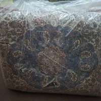 پشتی شاه نشین