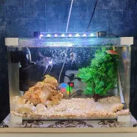 آکواریوم شرکتی