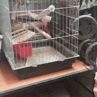 قفس پرنده|لوازم جانبی حیوانات|محمودآباد, |دیوار