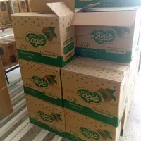 کارتن برای اسباب کشی