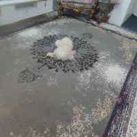 سگ پامرین|سگ|شهر ری, علایین|دیوار