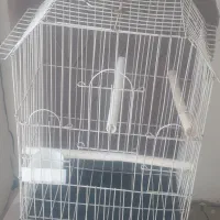 قفس نو|لوازم جانبی حیوانات|پردیس, فاز ۱|دیوار