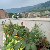 سوئیت اجاره ایی دهکده توشن|اجارهٔ کوتاهمدت آپارتمان و سوئیت|گرگان, |دیوار