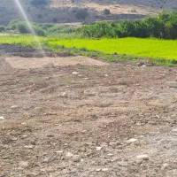 نشا برنج فجر درجه یک
