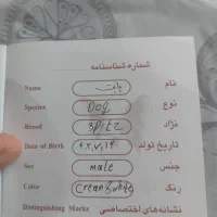 واگذاری سگ|سگ|اردبیل, |دیوار