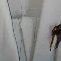 کت و شلوار نو|لباس|پاکدشت, پاکدشت (مامازند)|دیوار