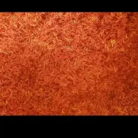 گل زرد فروشی