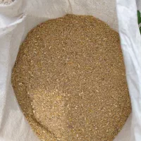 دان مرغ گوشتی برای پرواری گوسفند گاو و دام