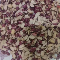 لوبیا  دونصف