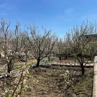 باغ باغچه چهاردیوار ۹۰۰ متررزکان میدان نماز شهریار|فروش خانه و ویلا|تهران, استاد معین|دیوار