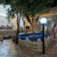 بومگردی نارگل