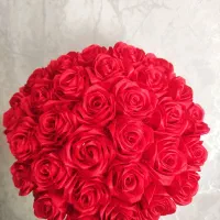 گل جاودان|گل و گیاه طبیعی|قم, امامزاده ابراهیم|دیوار