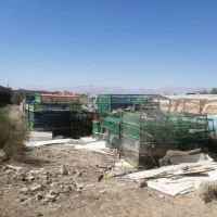 قفس کبک و بلدرچین|لوازم جانبی حیوانات|یزد, |دیوار