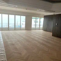 ولنجک ۳۸۰ متر پنت هاووس