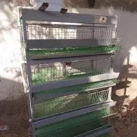 قفس 130 قطعه بلدر چین تخم گذار با آبخوری نیپل