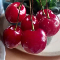 یخچال کائو چو