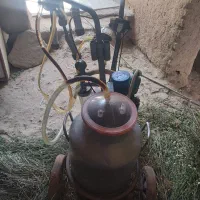 شیر دوش گاو