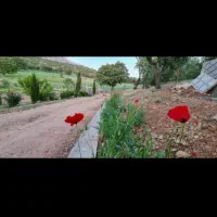 فروش زمین|فروش دفتر صنعتی، کشاورزی، تجاری|یاسوج, |دیوار