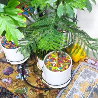 گل طبیعی