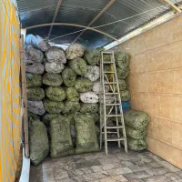 ذغال کبابی باغی سرند شده|کوهنوردی و کمپینگ|زاهدان, |دیوار