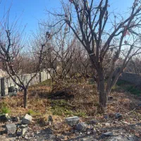 ایرانمهر-شهرکی-اوایل-خیابان-فرصت-محدود-حاجیلو