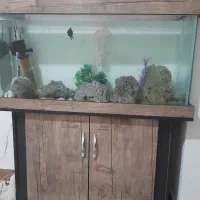 آکواریوم سالم  با لوازم