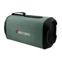 اسپیکر بلوتوثی بیکارو مدل GF601