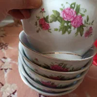 ظروف گلسرخی نو واصل تا آخر ورق بزنید|ظروف سرو و پذیرایی|تهران, وحیدیه|دیوار
