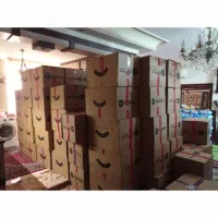 کارتن خالی ۵۰۰عدد ابعادهای مختلف