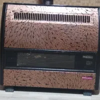 بخاری سیلوان