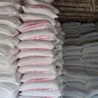 ن سیمان مدلل درکامیاران یه صورت عمده وجزئی|مصالح و تجهیزات ساختمان|کامیاران, |دیوار