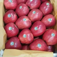 کارگرساده میوه فروشی