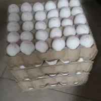 تخم مرغ درشت ۲۶۰ تومن