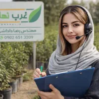 فروش نهال گردو بادام سیب انار عناب البالوهلوگلدانی