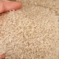 برنج نیم دانه