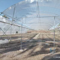 پلاستیک گلخانه|مصالح و تجهیزات ساختمان|رودان, |دیوار