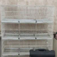 پت شاپ دهکده حیوانات
