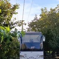 اتوبوس هیوندای غزال موتور بنز