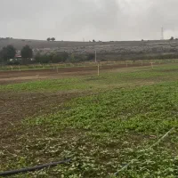 8000-متر-زمین-در-کیاسر