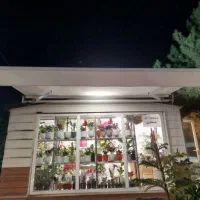 خیمه ساببان مغاره کالسکه ای و بازویی|فروشگاه و مغازه|تهران, جیحون|دیوار